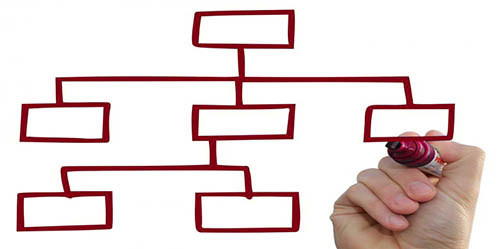 organigramma